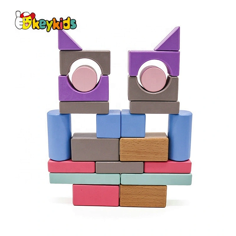 2019 Top sale 55 pieces educational wooden building sets for kids W13A175
