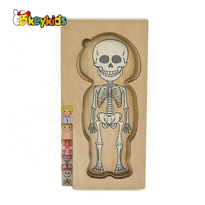 2020 Customize educational wooden human anatomy jigsaw puzzle for kids W12E057