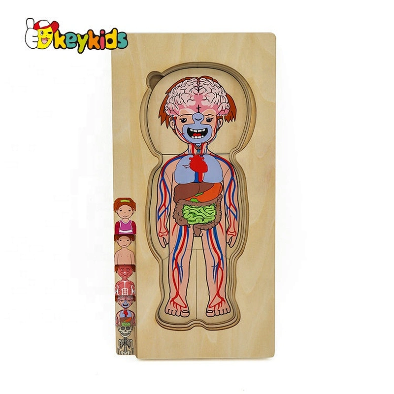 2020 Customize educational wooden body systems puzzle for children W12E058