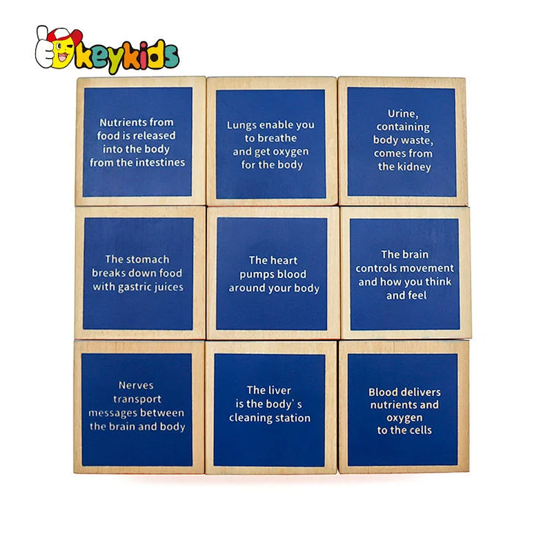 Montessori educational learning wooden human body blocks toy for kids W13A197