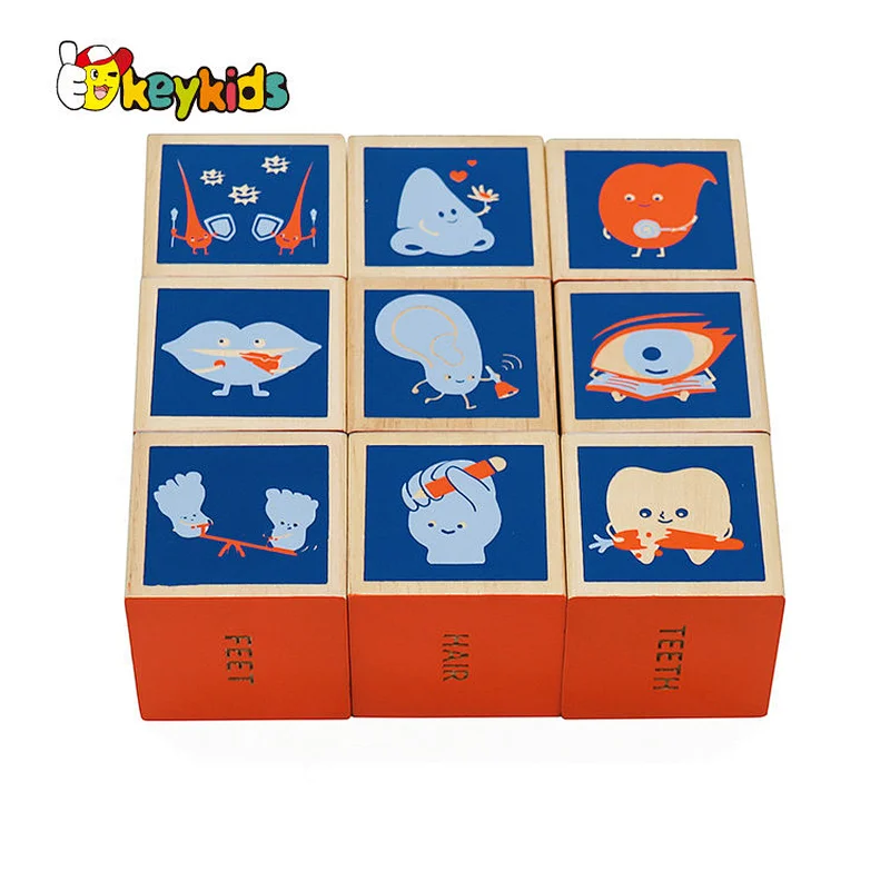 Montessori learning human body wooden cube blocks for children W14F074