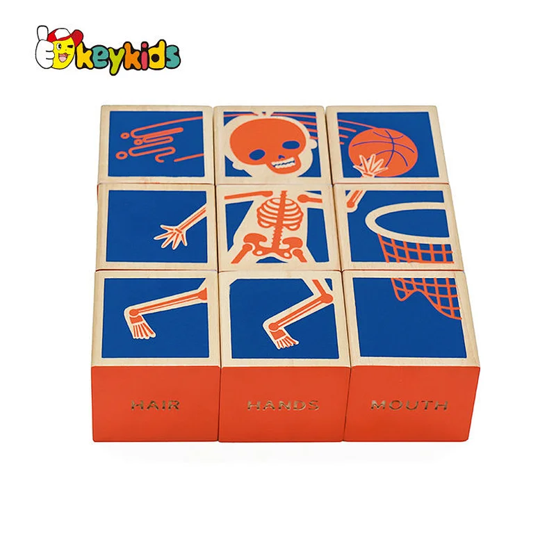 Montessori learning human body wooden cube blocks for children W14F074
