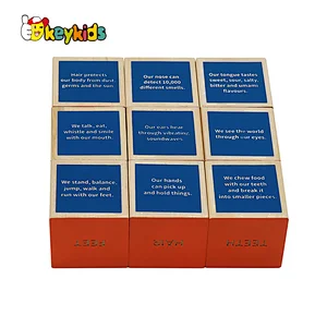 Montessori learning human body wooden cube blocks for children W14F074