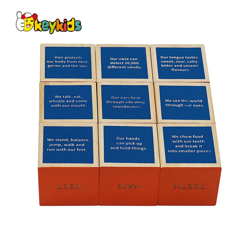 Montessori learning human body wooden cube blocks for children W14F074