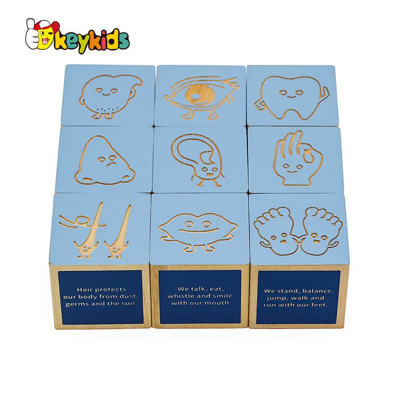 Montessori learning human body wooden cube blocks for children W14F074