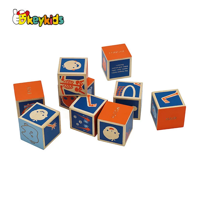 Montessori learning human body wooden cube blocks for children W14F074