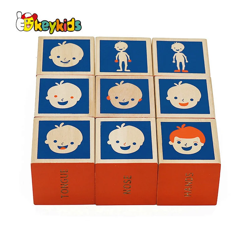 Montessori learning human body wooden cube blocks for children W14F074