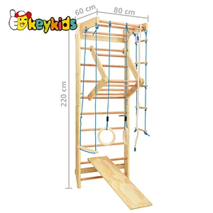 Indoor & Outdoor play set Gymnastic home wall gym for kids W01D169