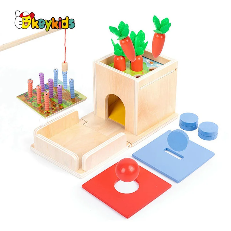 4 in 1 play kit intelligence object permanence box wooden montessori toys for Boys and Girls Age 3, 4, 56 years W12D451