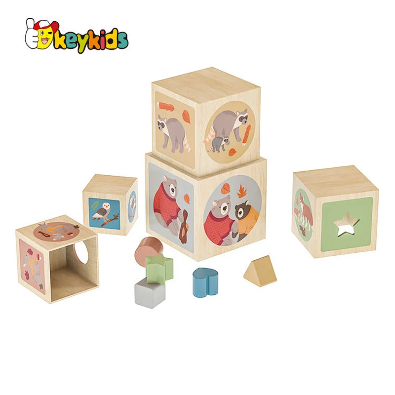 Kids Toddler Baby Gift Montessori Educational Wooden Toys Stacking and Nesting Cubes W13D388