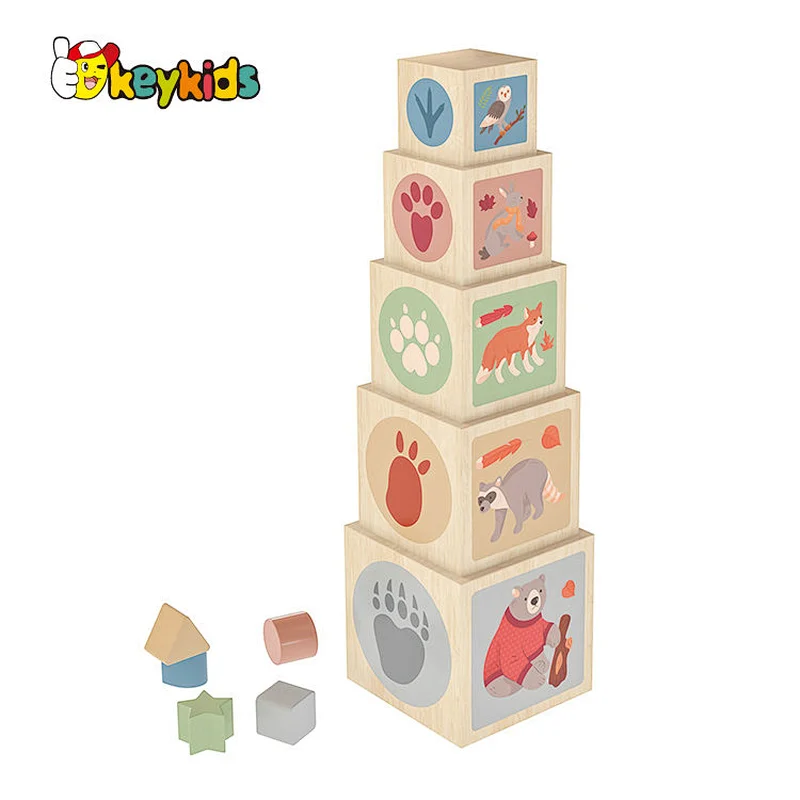 Kids Toddler Baby Gift Montessori Educational Wooden Toys Stacking and Nesting Cubes W13D388