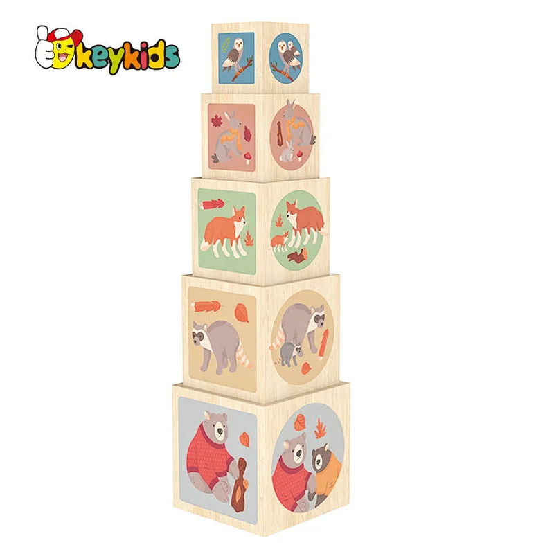 Kids Toddler Baby Gift Montessori Educational Wooden Toys Stacking and Nesting Cubes W13D388