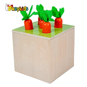 4 in 1 play kit intelligence object permanence box wooden montessori toys for Boys and Girls Age 3, 4, 56 years W12D451