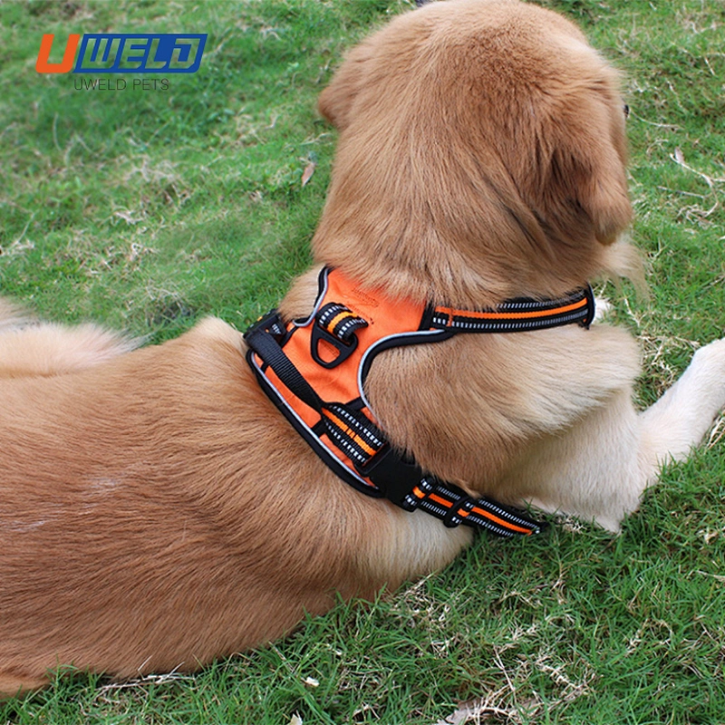Uweld Vest Type Pet Leash