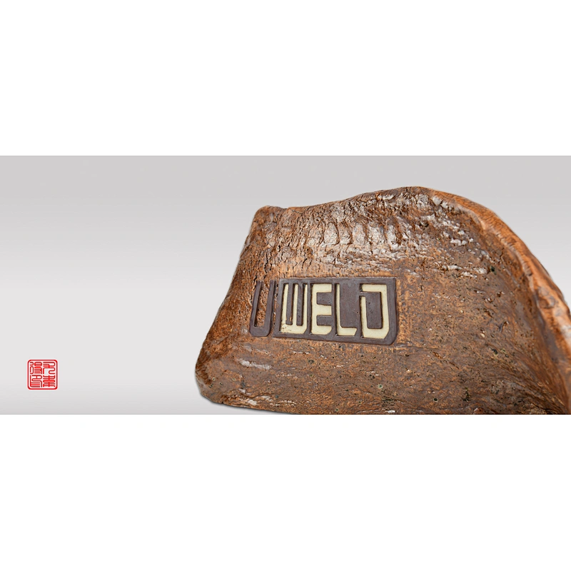 Uweld Pet Collar With Fruit Design Bow