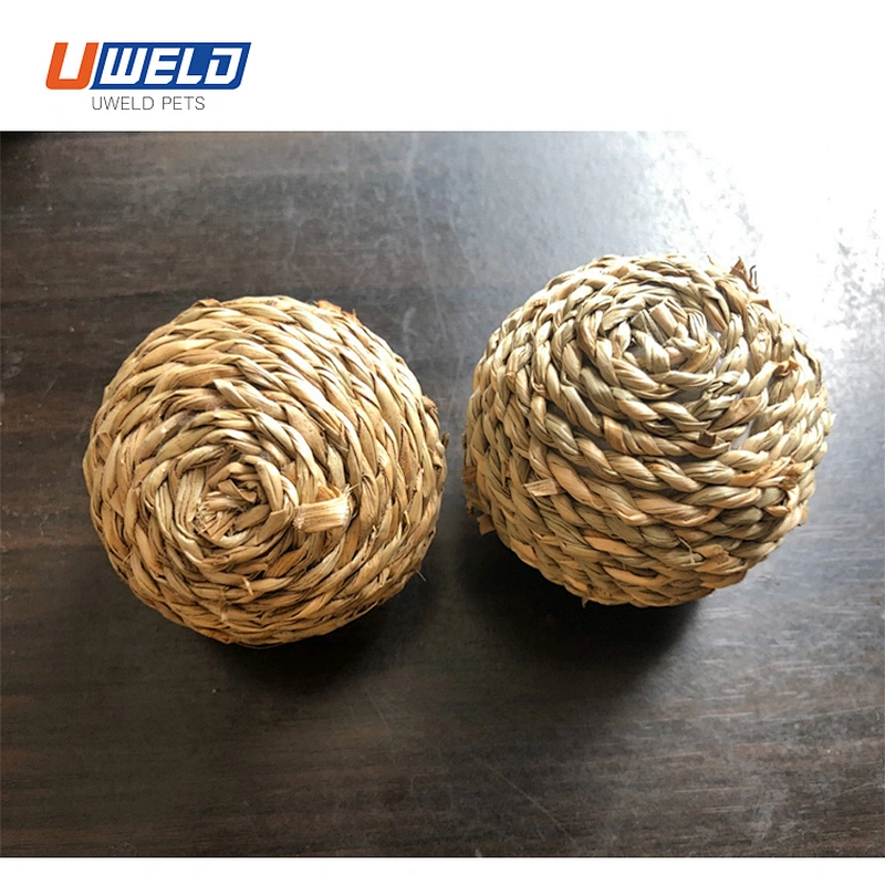Uweld Pet Gnawing Grass Ball Toy Set