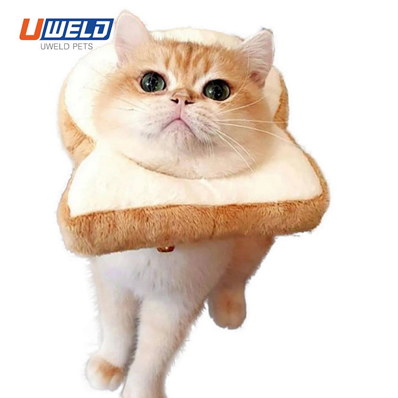 Uweld Toast Shaped Pet Collar