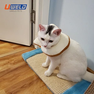 Uweld Toast Shaped Pet Collar
