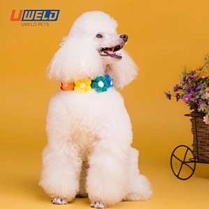 Uweld Colorful  Flower Cotton Pet Collar