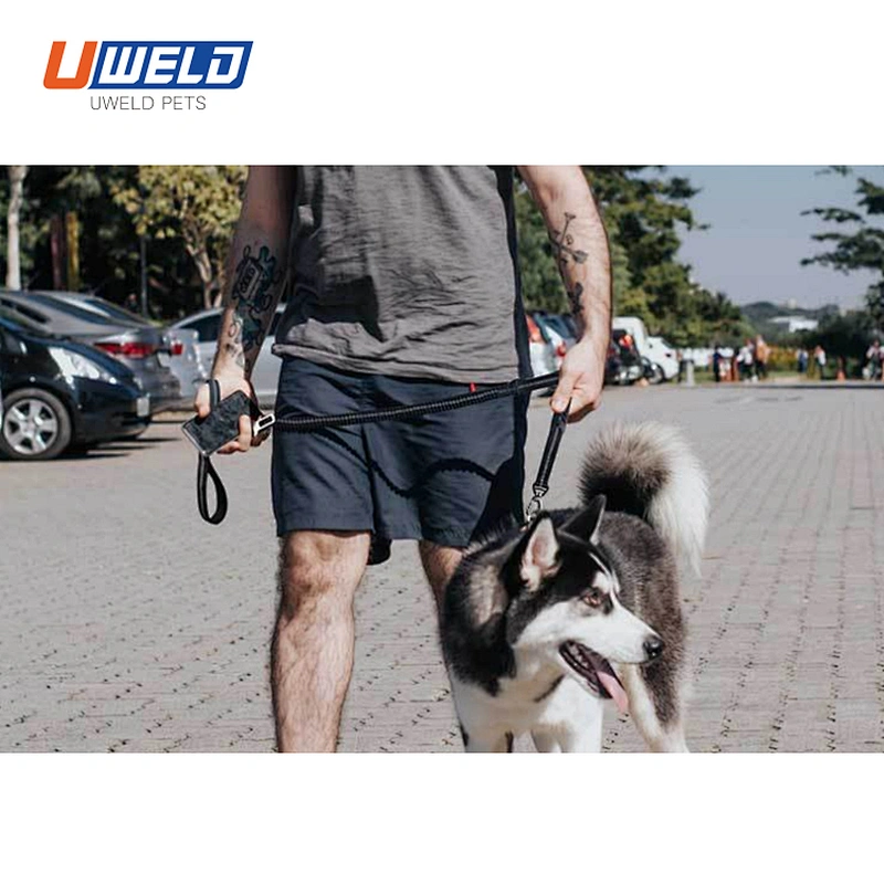 Uweld Black Reflective Pet Leash Car Seat Belt