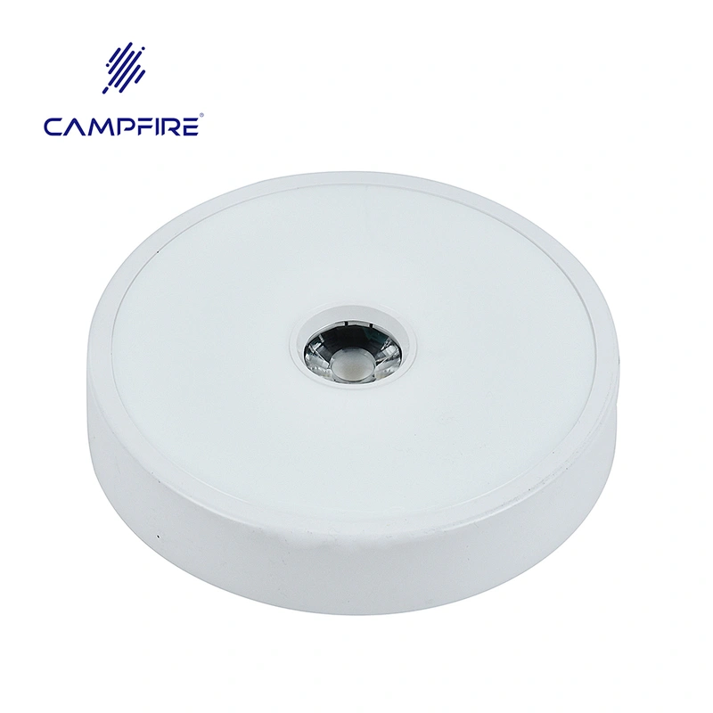 popular model new design  led down light