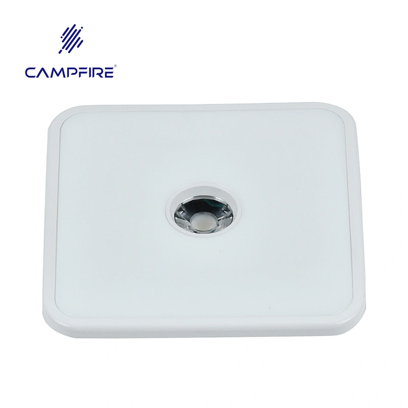 popular model new design  led down light