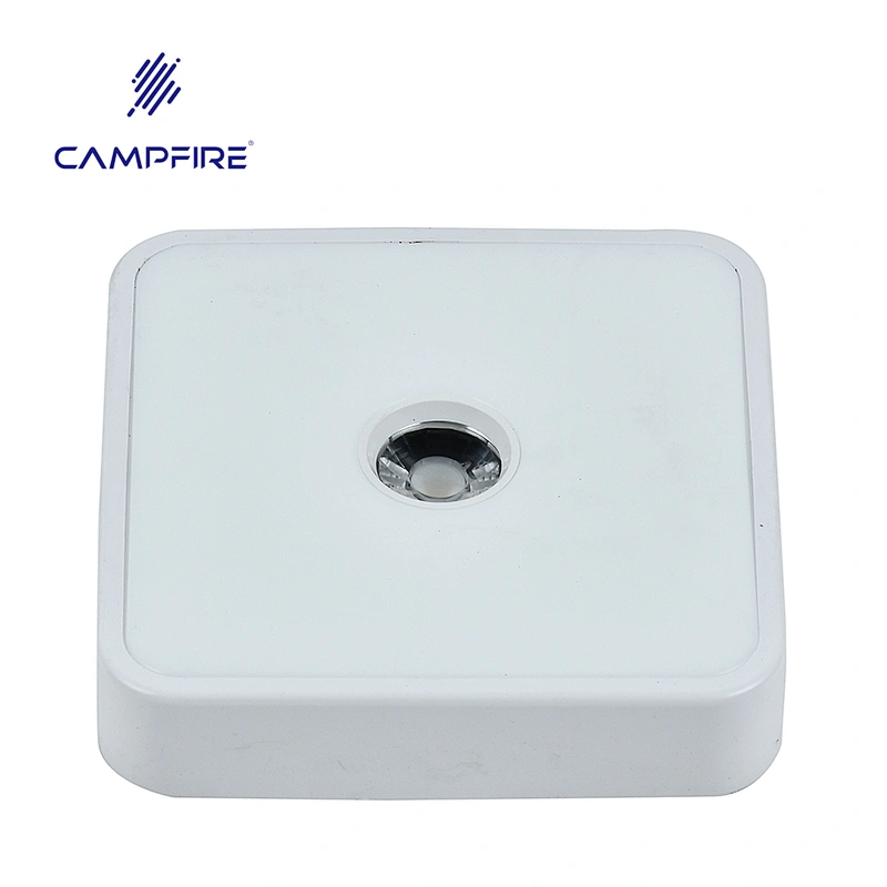 popular model new design  led down light