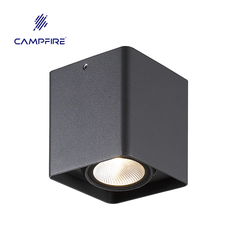 Private mould  popular selling led garden spot light