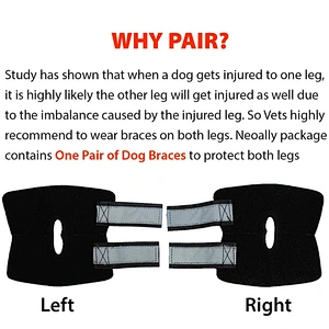 High Quality neoprene Pet Knee Protect Dog Leg Brace Sleeve soft Dog Knee Brace for Rear Leg