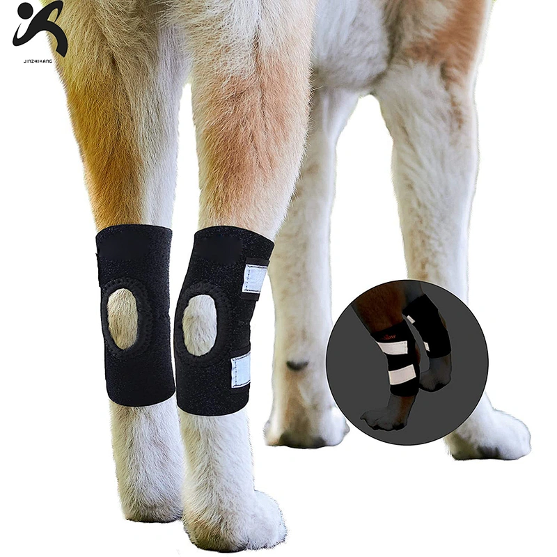 High Quality neoprene Pet Knee Protect Dog Leg Brace Sleeve soft Dog Knee Brace for Rear Leg