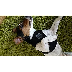 Pet Control Harness for Dog Cat Soft Mesh fabric Walk Collar Safety Strap Vest