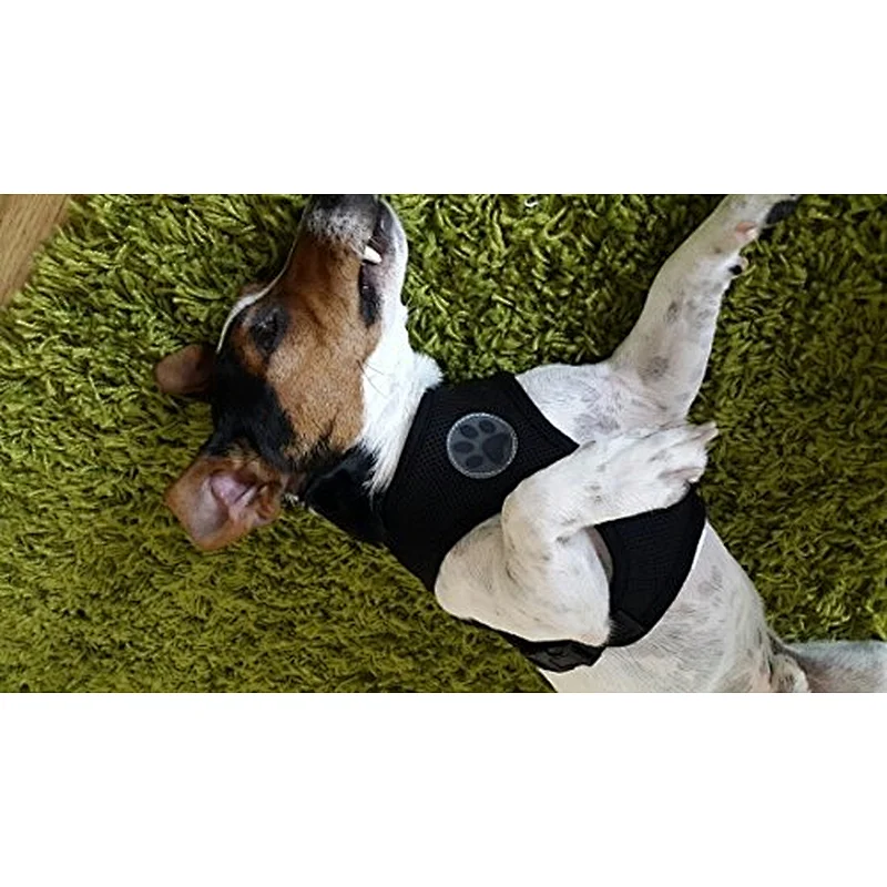 Pet Control Harness for Dog Cat Soft Mesh fabric Walk Collar Safety Strap Vest