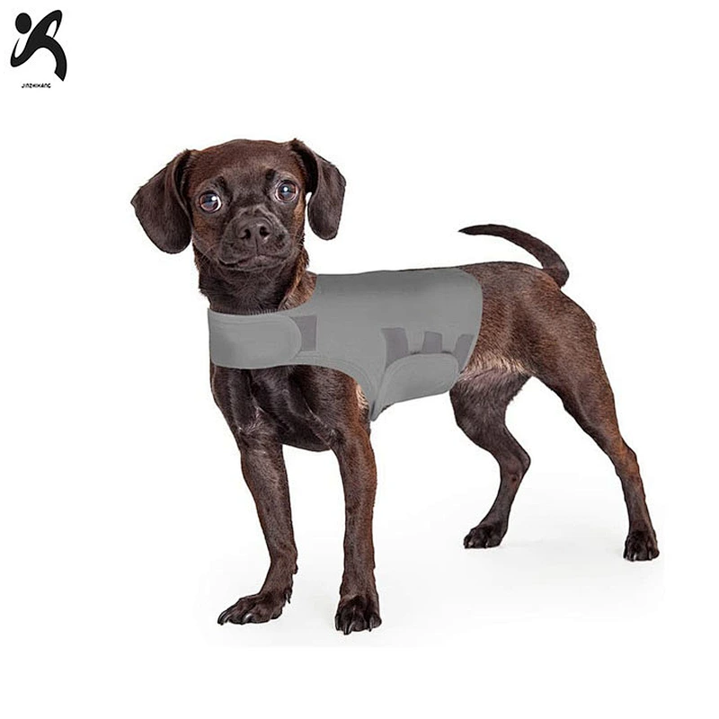 Canine rear supportive pet knee dog support brace neoprene breathable recover dogs protector