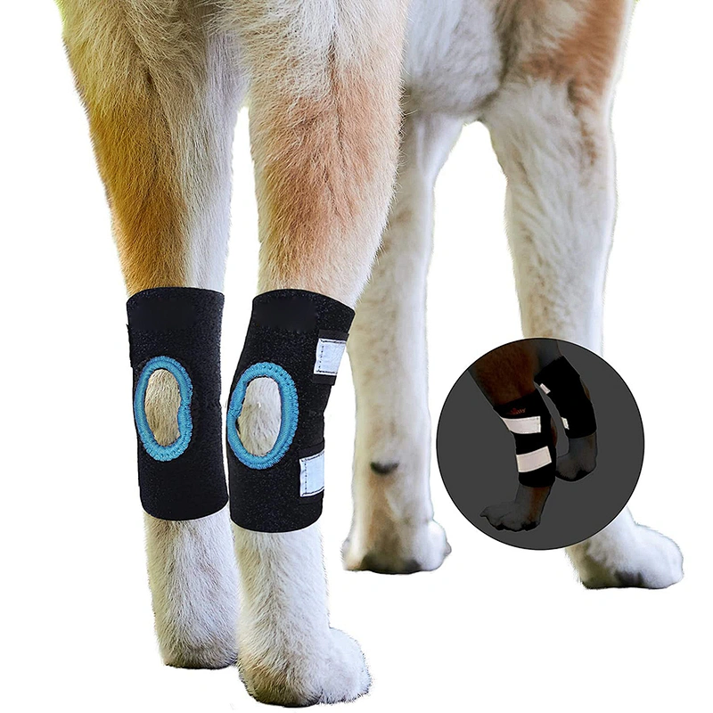 High Quality neoprene Pet Knee Protect Dog Leg Brace Sleeve soft Dog Knee Brace for Rear Leg