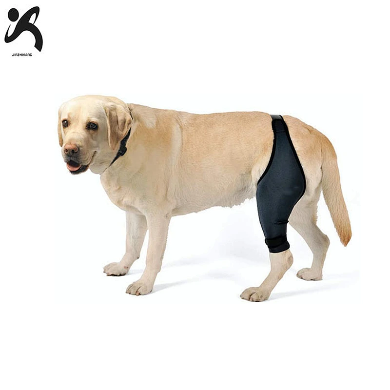 Customized dog leg brace knee support rear dog hock support heals wrap sleeve for legs