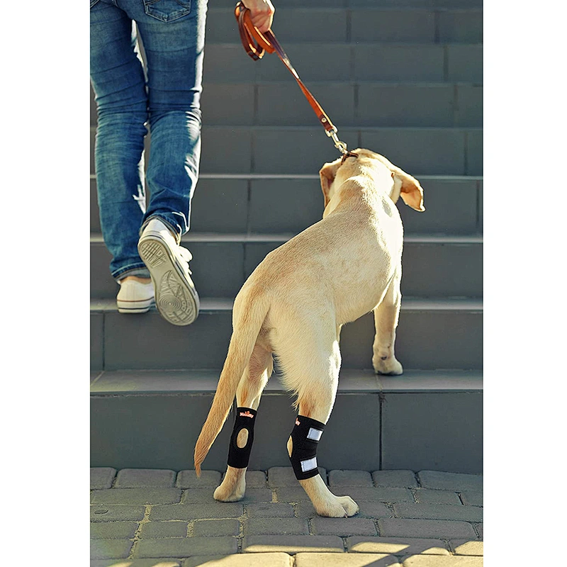 High Quality neoprene Pet Knee Protect Dog Leg Brace Sleeve soft Dog Knee Brace for Rear Leg