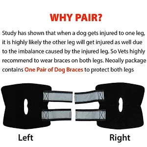 High quality neoprene leg joint wrap protector dog knee brace support with Safety Reflective Straps