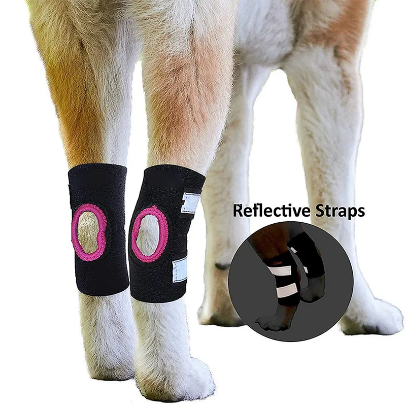 High quality neoprene leg joint wrap protector dog knee brace support with Safety Reflective Straps