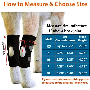 High Quality neoprene Pet Knee Protect Dog Leg Brace Sleeve soft Dog Knee Brace for Rear Leg