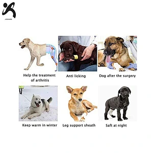 Factory adjustable reflective pet knee brace support and back comfortable neoprene dog knee support