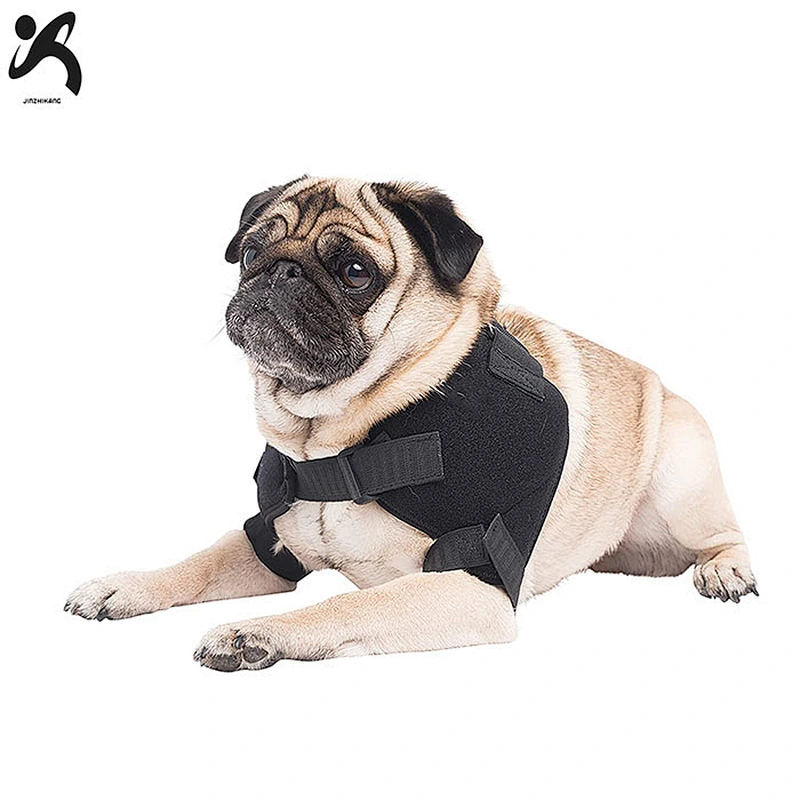 New design custom made breathable supportive rear dog leg support stability protectors reflective protection pet dog brace