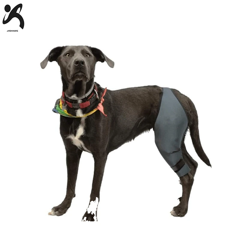 Customized dog leg brace knee support rear dog hock support heals wrap sleeve for legs