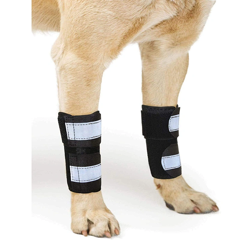High Quality neoprene Pet Knee Protect Dog Leg Brace Sleeve soft Dog Knee Brace for Rear Leg