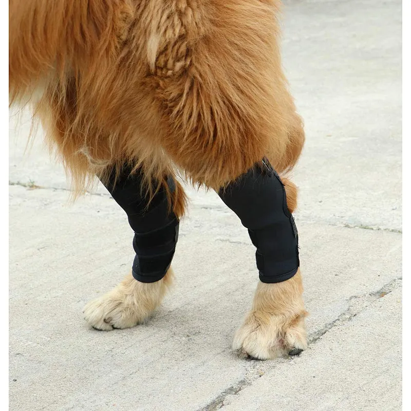 High Quality neoprene Pet Knee Protect Dog Leg Brace Sleeve for Surgery Recovery