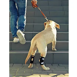 High quality neoprene leg joint wrap protector dog knee brace support with Safety Reflective Straps