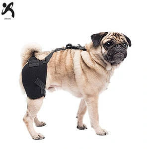 Protector supportive dog leg support sleeve custom neoprene breathable adjustable prevent canine pet dog knee brace