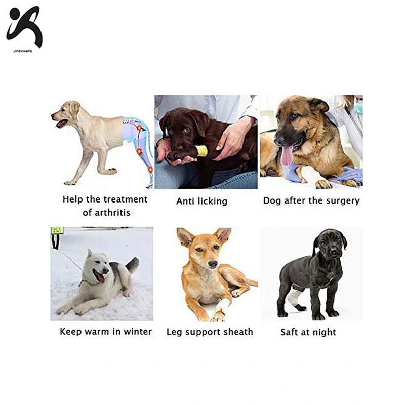 Wholesale pet knee pads dog support brace new neoprene adjustable canine rear protector breathable