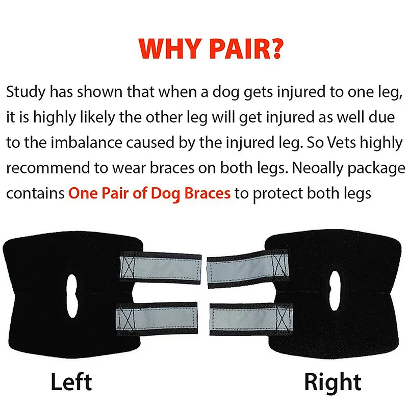 Neoprene Dog Knee Brace for Leg Dog Canine Protector Leg sleeve for Injury Sprain and Joint Wrap Protects
