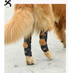 High Quality neoprene Pet Knee Protect Dog Leg Brace Sleeve for Surgery Recovery