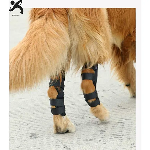 High Quality neoprene Pet Knee Protect Dog Leg Brace Sleeve for Surgery Recovery